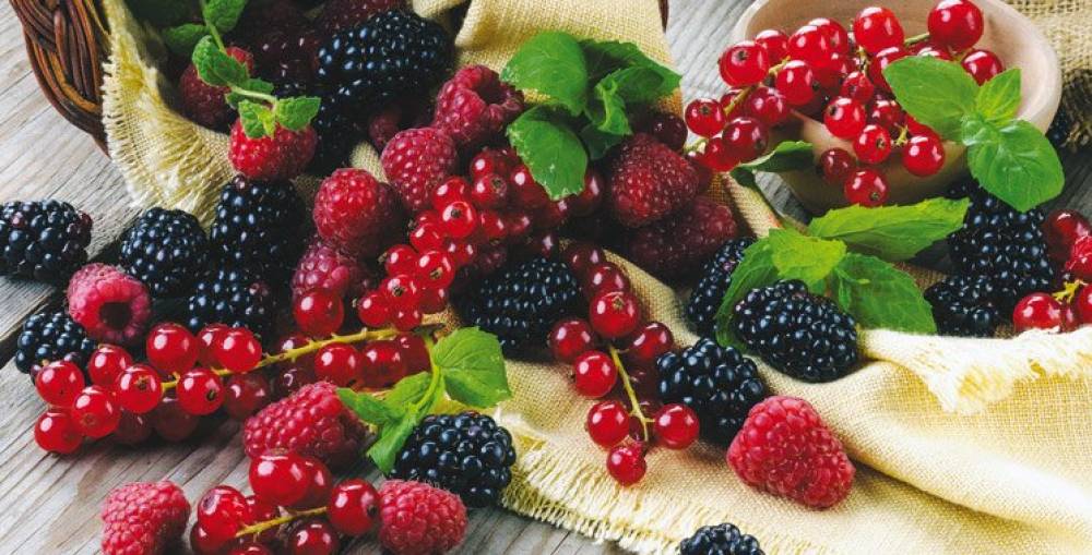 The Morocco Berry Conference aura lieu le 5 décembre 2019 à Agadir