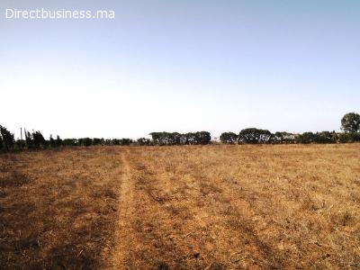 3 Terrains de 1 Ha à Lakhyayta