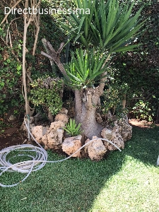 ETAGE VILLA RDC 180 m² OASIS