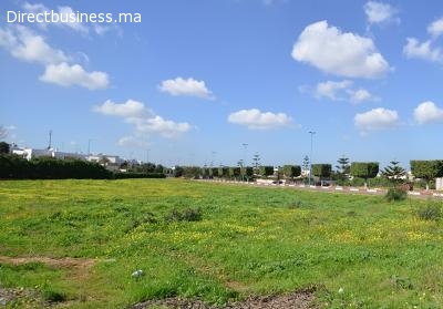 Terrain 2.300 m² –Zone villas, Californie, Casablanca