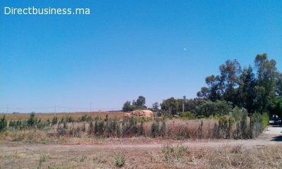 Terrain de 1659m2 à Bouskoura au Maroc