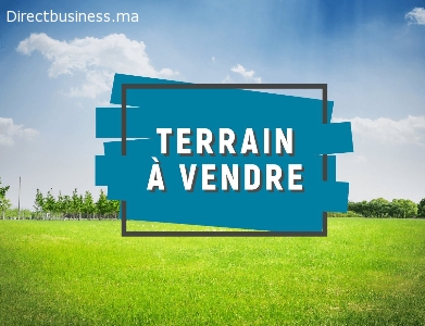 Terrain de 3000 m² Zone industrielle Ouled Haddou
