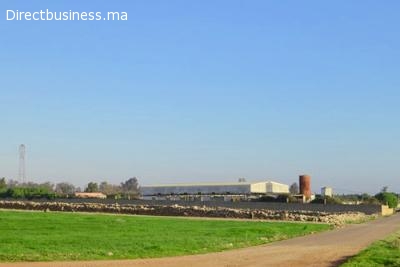 Terrain industriel 1,98 Ha à Ouled Saleh