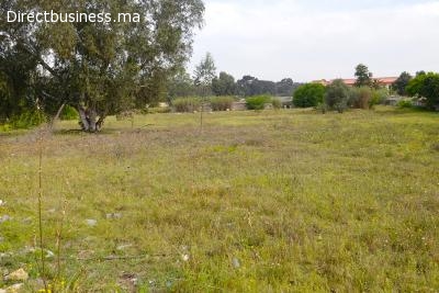 Terrain industriel 5000 m², Zone industrielle aviation