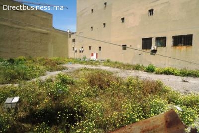 Terrain industriel de 1.000 m² –  Zone industrielle Aïn Seba