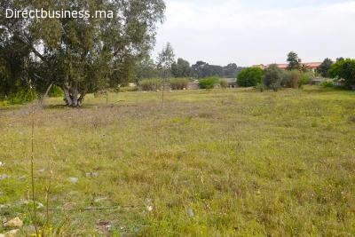 Terrain industriel de 5.000 m² – ZI Aviation, Rabat-Salé