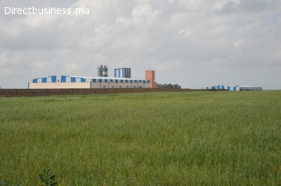 Terrain industriel de 6.500m²  à vendre à Ouled Saleh