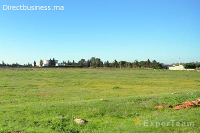 Terrain zone villa 1 Ha à Bouskoura