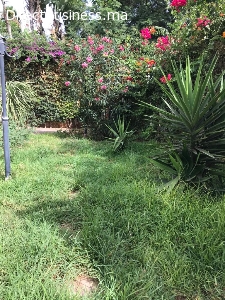 VILLA PLEIN PIED 600 M² OASIS